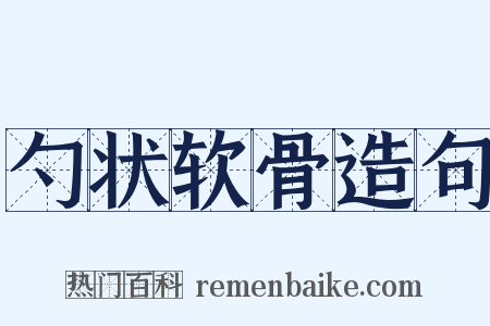 勺状软骨造句是什么意思的图片